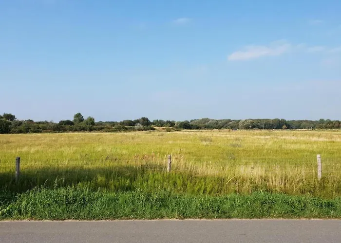 In By Canal * 알크마르