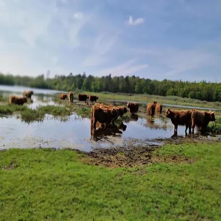 Holiday home In By Canal